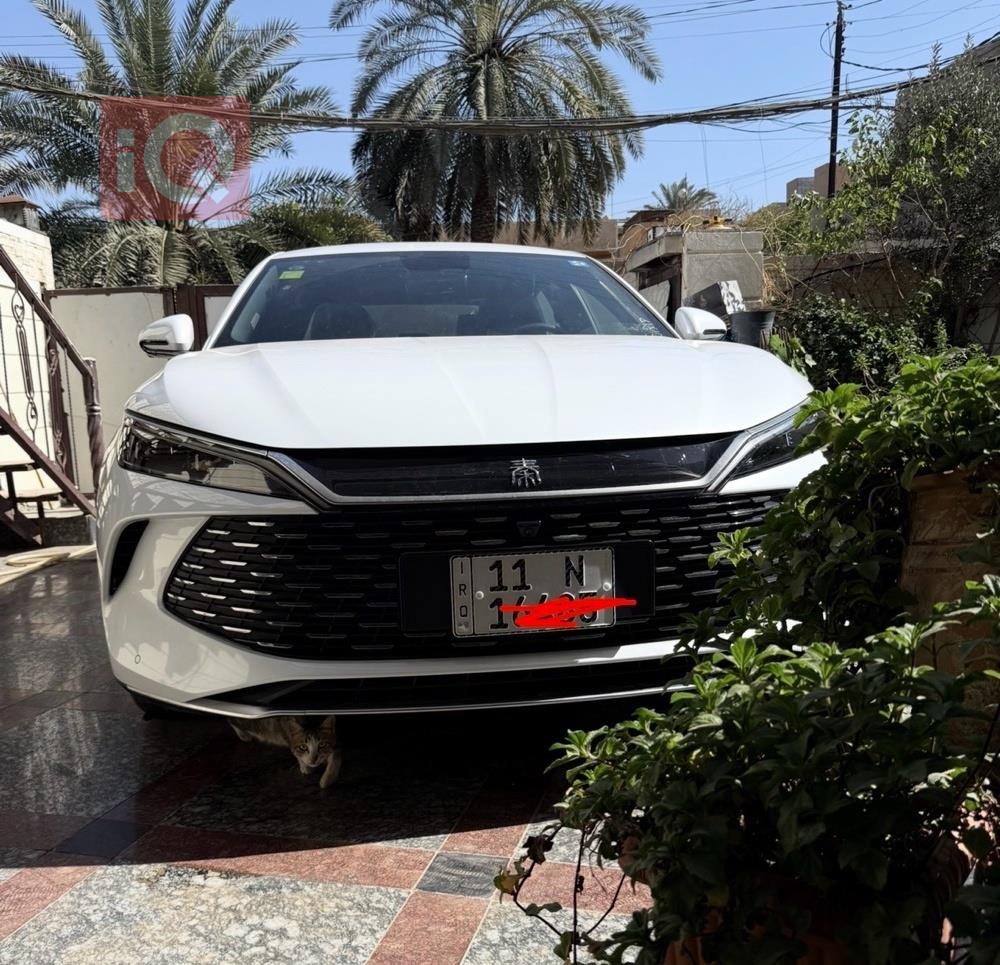 بي واي دي كوين L DM-i